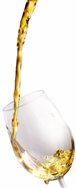 whiskyglas-medium.png